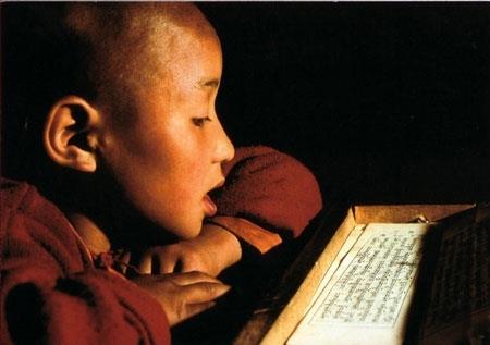 Young Novice Monk