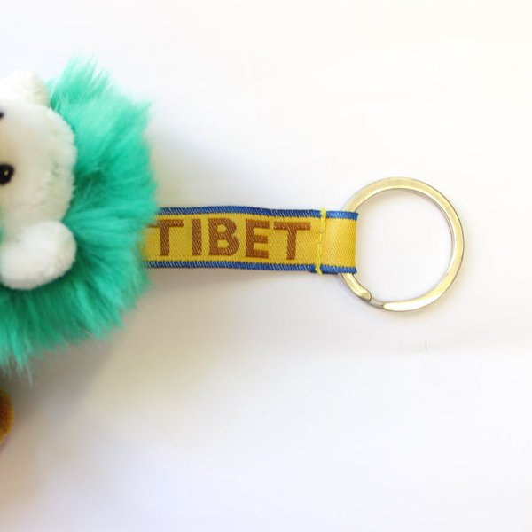 Tashi Ein Schneelöwe für Tibet