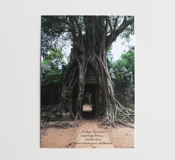 Postkarte Baum bei Angkor Wat