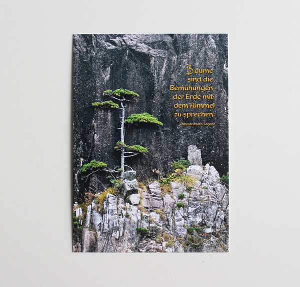 Postkarte Bäume im Fels
